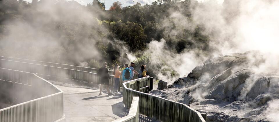 Te Puia, Rotorua