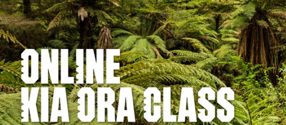 Online Kia ora class