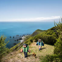 Kāpiti Island, Wellington