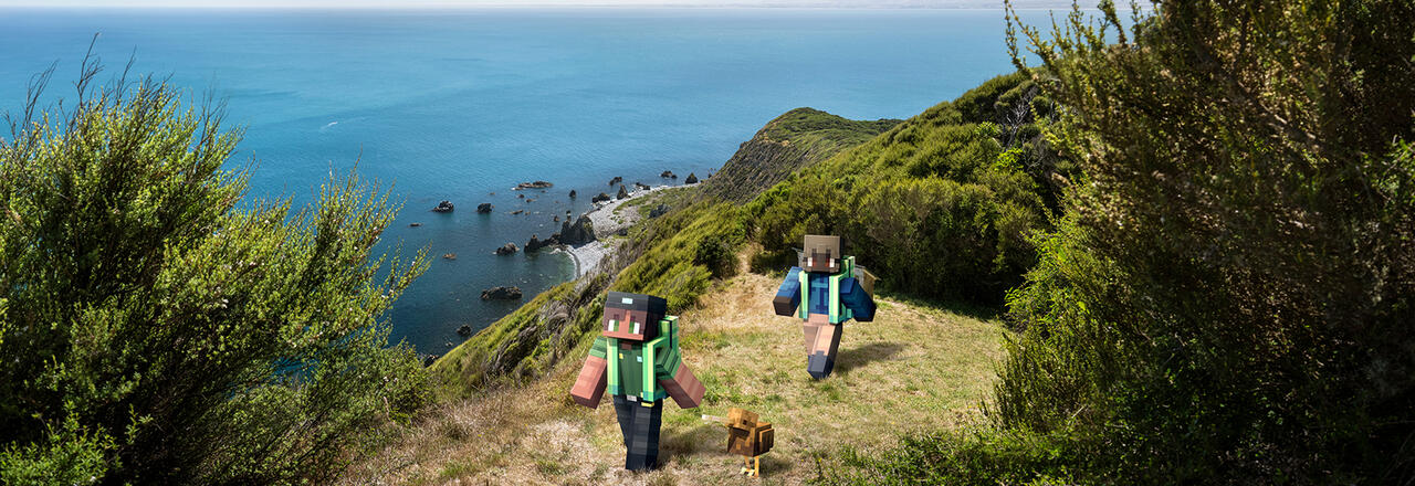 Kāpiti Island, Wellington