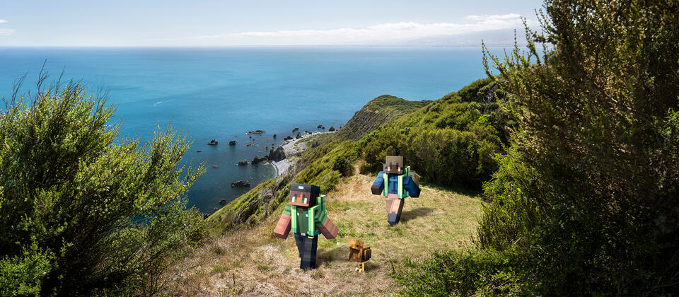 Kāpiti Island, Wellington