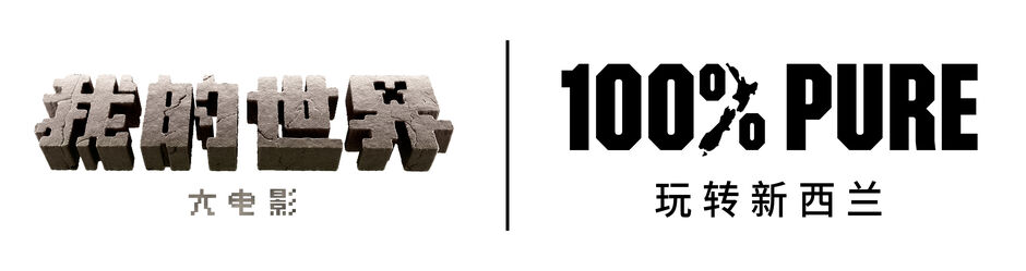 Minecraft TNZ Horizontal Black China