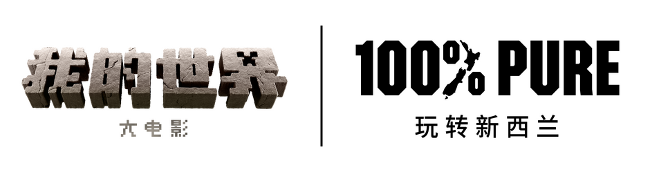 Minecraft TNZ Horizontal Black China
