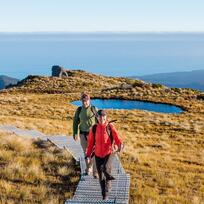 Hump Ridge Track