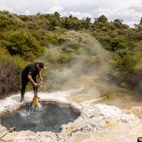 Rotorua Bay of Plenty