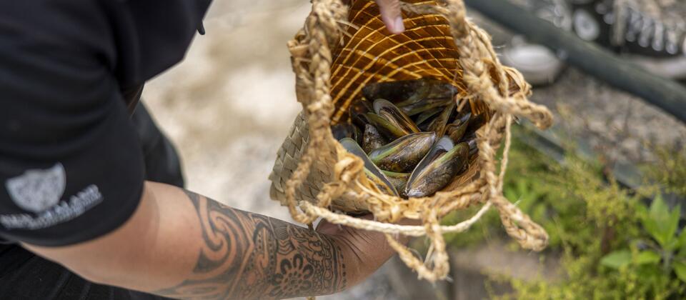 Eat and drink your way around New Zealand