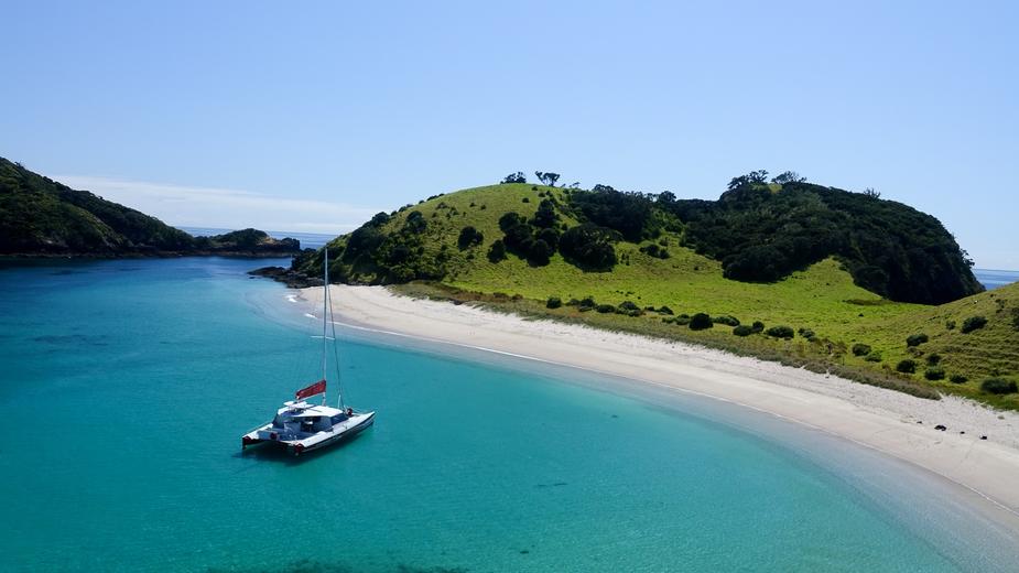 Carino Wildlife Cruises Paihia - 2021 winner of the Qualmark 100% Pure New Zealand Experience awards; recognising world-class New Zealand tourism operators.
