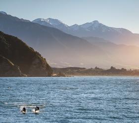 Join us on a virtual tour of the beautiful region, Kaikōura. Known for their diverse landscapes, abundance of seafood and adventurous activities.