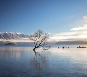 Join us on a virtual tour of Aotearoa NZ's unique town, Wānaka. We'll take you through a deep dive of Wanaka's incredible landscapes and wineries.