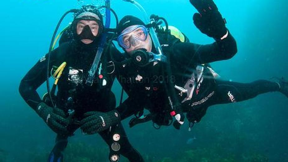 Waiheke Dive and Snorkel - 2021 winner of the Qualmark 100% Pure New Zealand Experience awards; recognising world-class New Zealand tourism operators.
